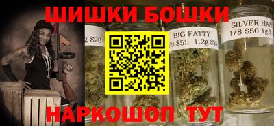 индика Обь