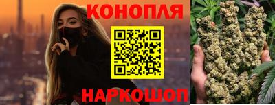 индика Обь