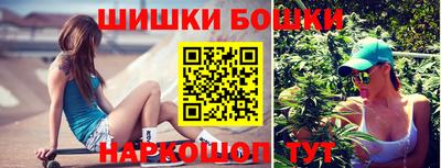 индика Обь