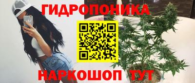 индика Обь