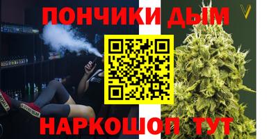 индика Обь