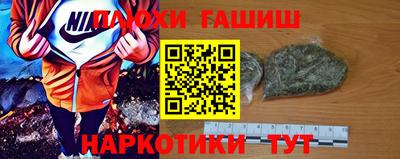 индика Обь