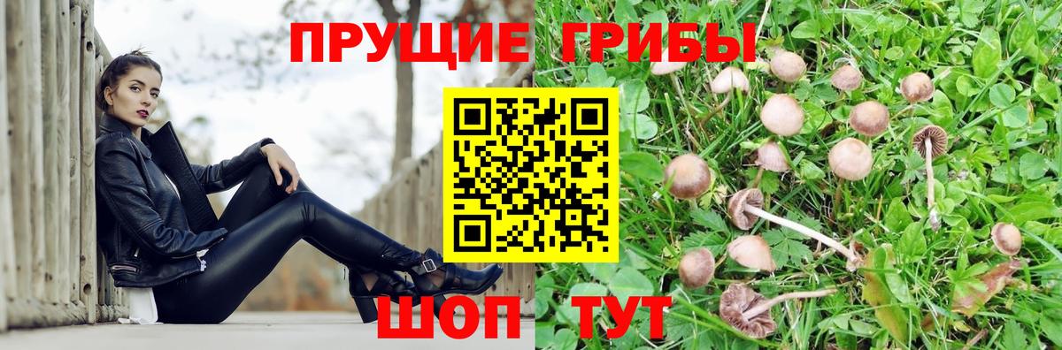 Галлюциногенные грибы мухоморы Тосно